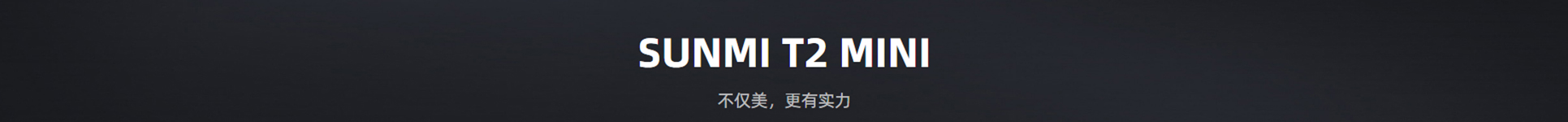 T2MINI_01.jpg